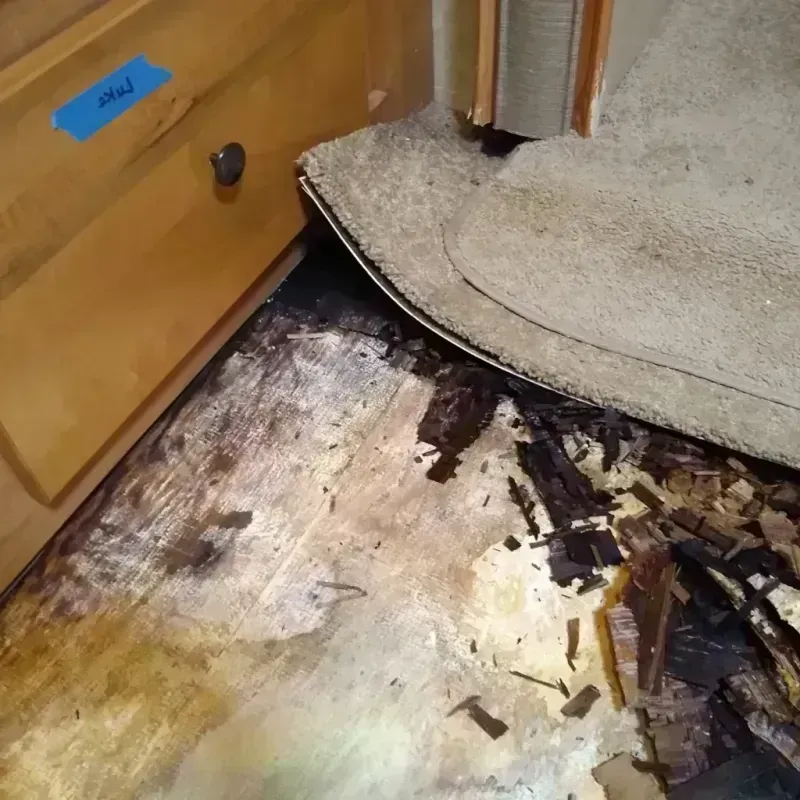 Wood Floor Water Damage in Wainaku, HI